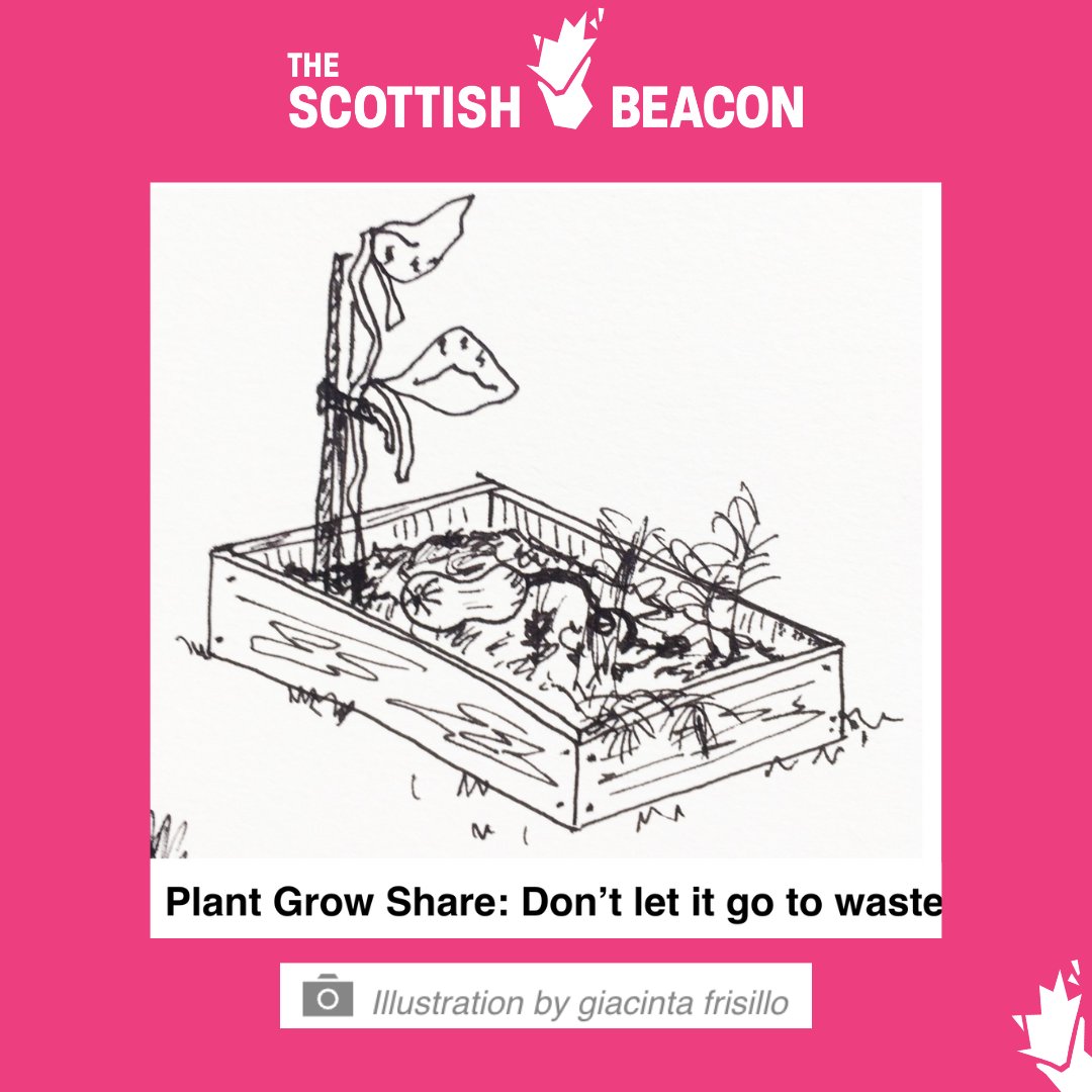 Scottish Beacon (@scottishbeacon) on Twitter photo From <a href="/Govanhill_mag/">🦋 @greatergovanhill.com on BlueSky 🦋</a>: Plant Grow Share: Don’t let it go to waste
Plant Grow Share delivers donated produce by bike to food banks and community groups, tackling food insecurity and reducing waste across Glasgow's Southside. Now they are reaping the rewards of their efforts and From <a href="/Govanhill_mag/">🦋 @greatergovanhill.com on BlueSky 🦋</a>: Plant Grow Share: Don’t let it go to waste
Plant Grow Share delivers donated produce by bike to food banks and community groups, tackling food insecurity and reducing waste across Glasgow's Southside. Now they are reaping the rewards of their efforts and