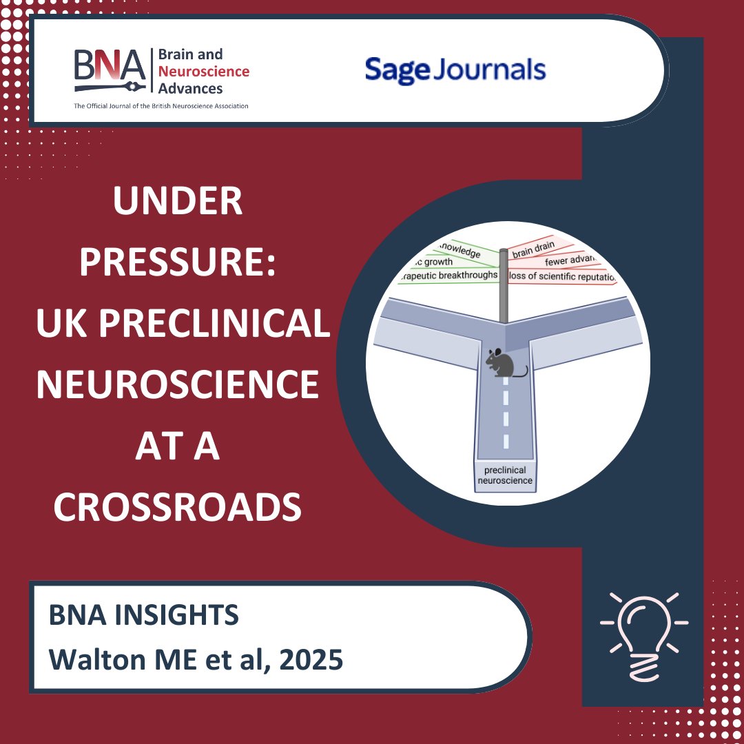 British Neuroscience Association tweet media
