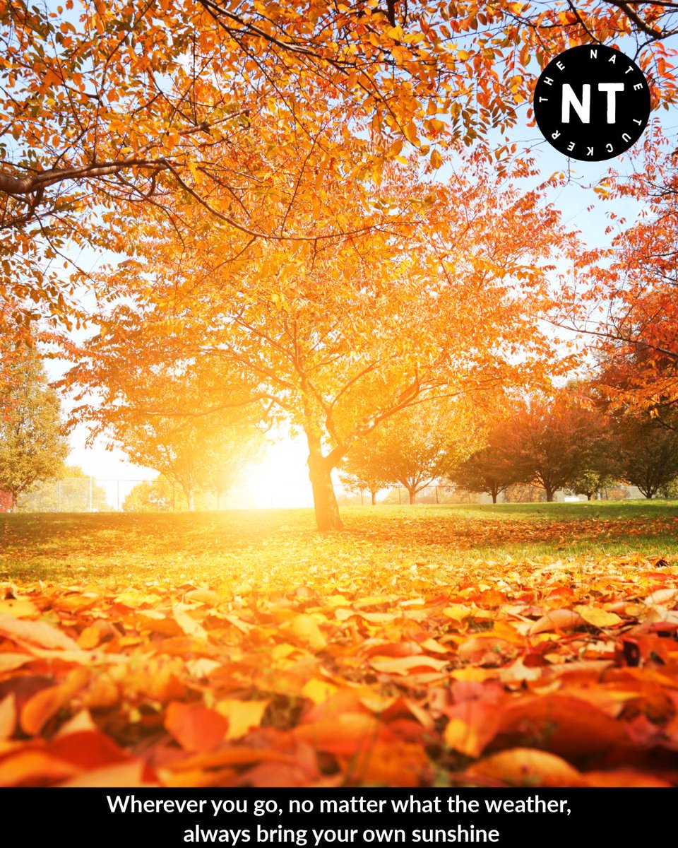 thenatetucker's tweet image. 💁🏽‍♂️ No ☔️ days for you today👌🏽

Wherever you go, no matter what the weather, always bring your own sunshine 💯🔥🔥🔥🔥

😎 #SunshineInMySoul each and every day ‼️

#motivationaldaily #Motivation #motivationalquotes