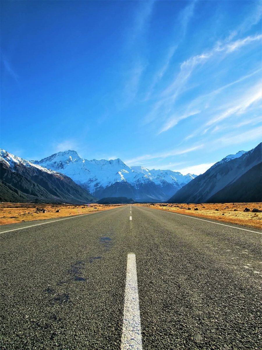 Adam Ingleton tweet media