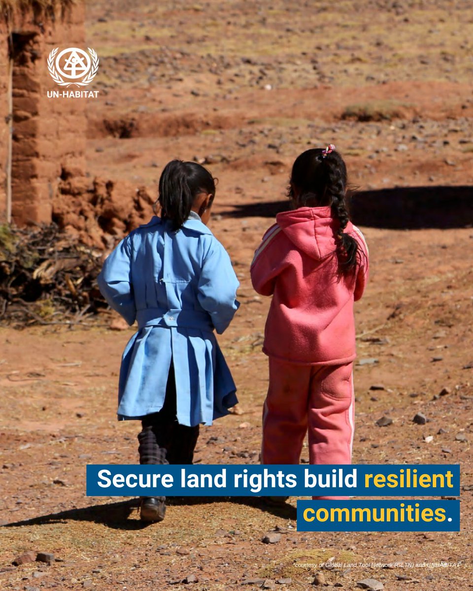 How can we prevent displacement? Our latest reports uncover key strategies to secure housing and land rights, helping displaced communities rebuild their lives. 
Read and download here: tinyurl.com/47ptjh79
