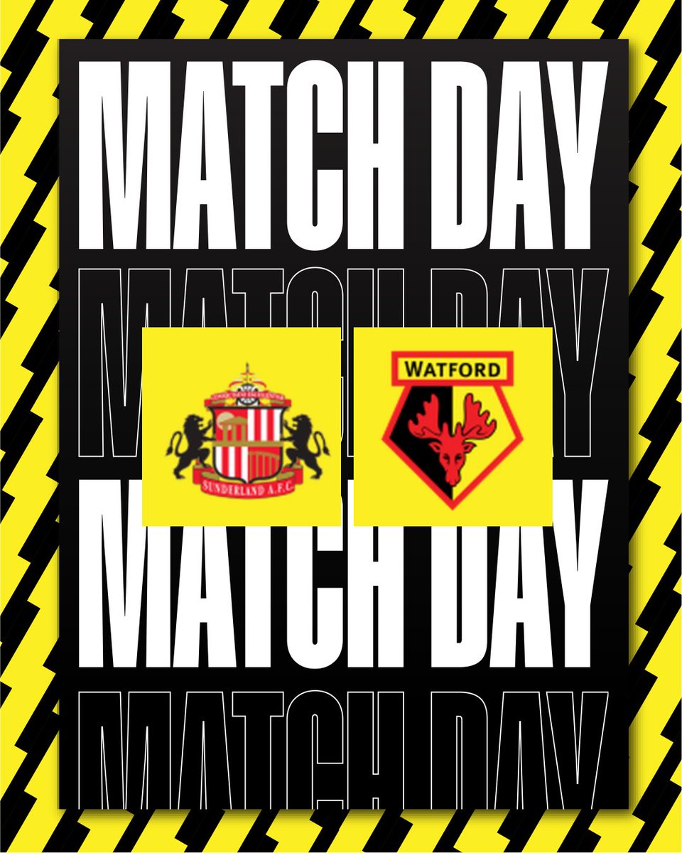 🐝 COYHorns 🐝 tweet media