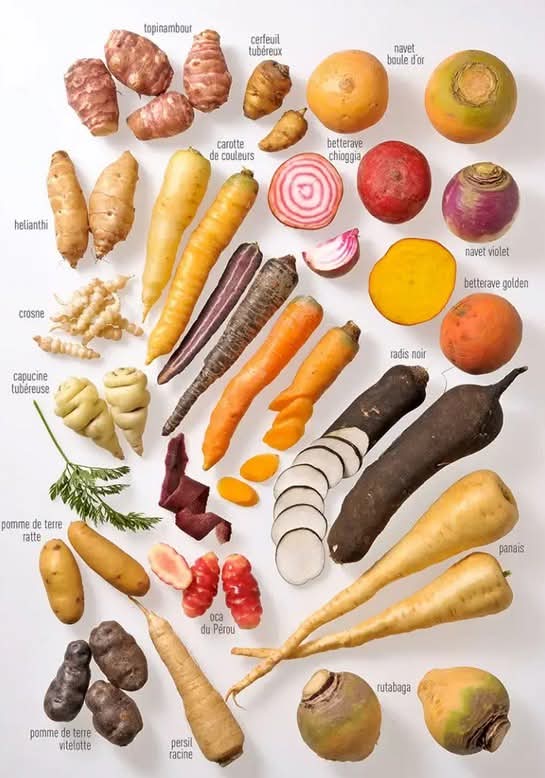 🌱✨ En février, c'est le moment idéal pour semer des légumes anciens dans votre potager ! 🍃🌿 Ces variétés uniques apportent des saveurs exceptionnelles et favorisent la biodiversité. Top 10 des légumes anciens à semer ce mois-ci :
potager.biz/10-legumes-anc…
   
     #Potager