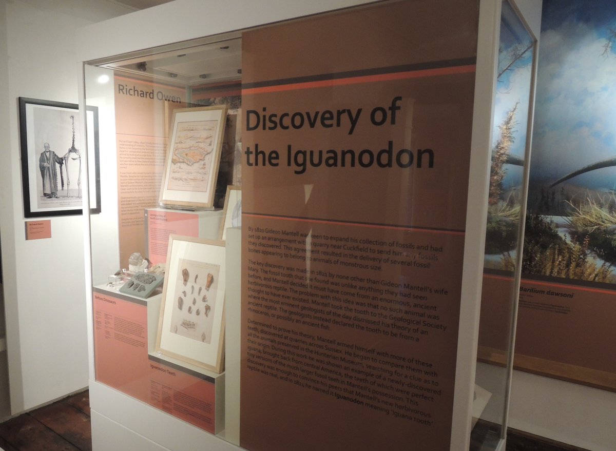 Yesterday, 235 years ago, saw the birth of palaeontologist Gideon Mantell who is featured in our new (very popular!) exhibition Cretaceous Horsham: Discovering Dinosaurs! 🦕 🦖 Entry to the exhibition is FREE and we are open Tuesday-Saturday 10am-4pm. #HorshamMuseum