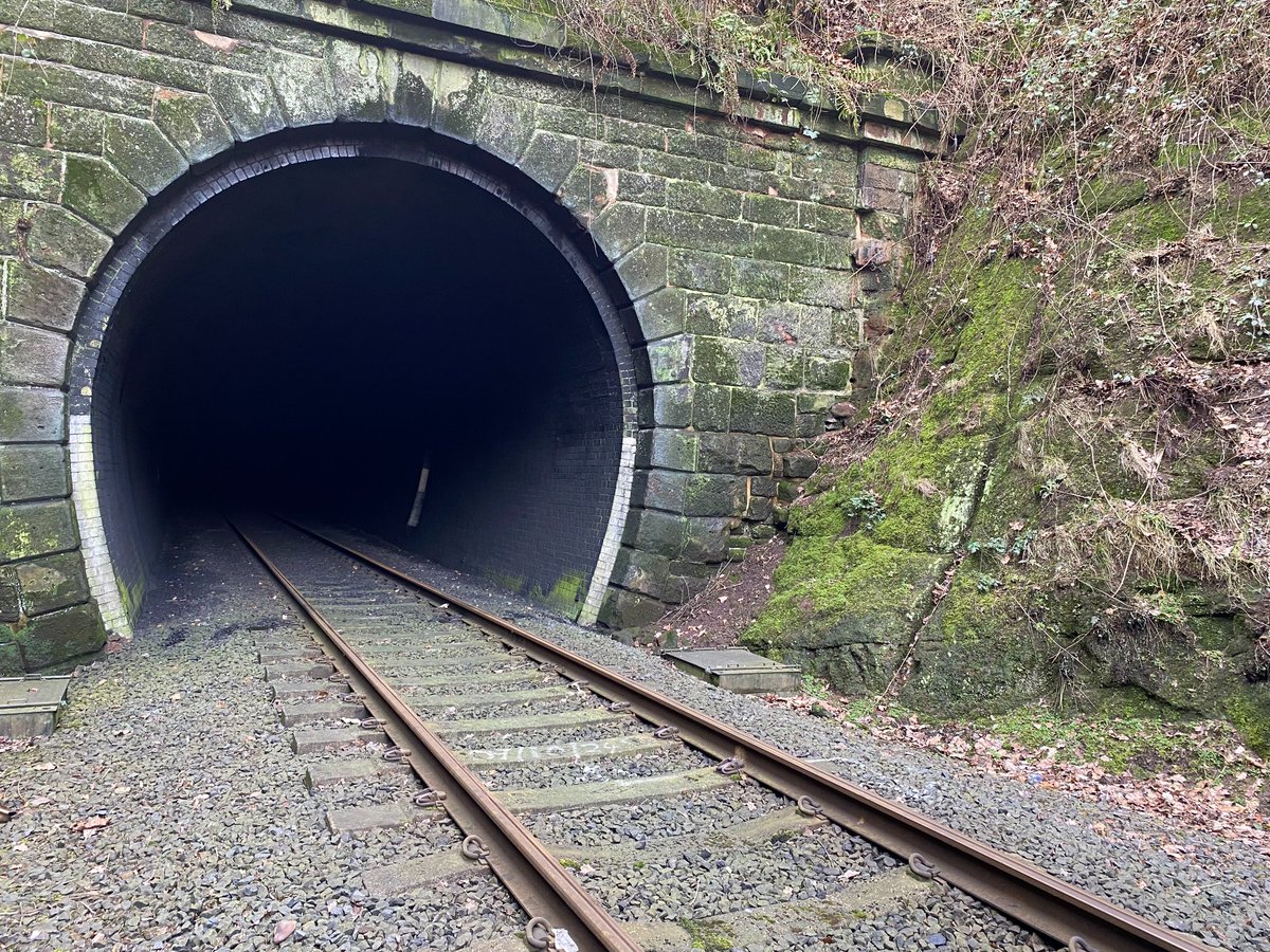 Adam Scovell tweet media