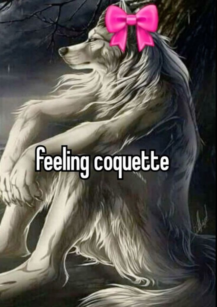 Moots !!! How's your day going??? Mine a little bit like this: