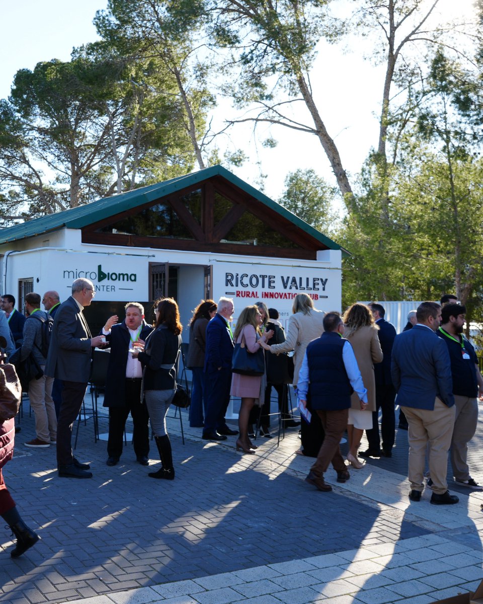 Ricote Valley Hub tweet media