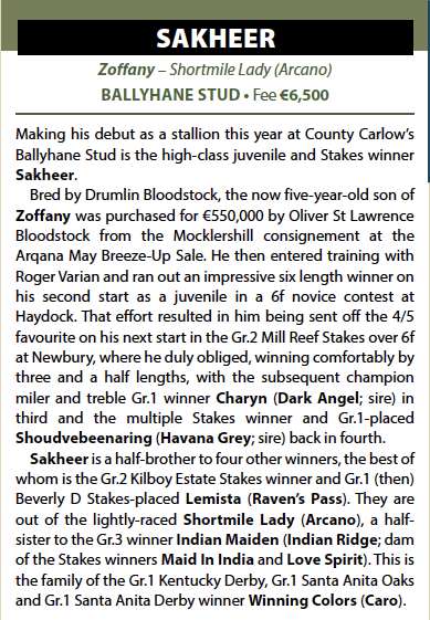 🌟 SAKHEER - New <a href="/BallyhaneStud/">Ballyhane Stud</a> for 2025 🌟

✅ €550,000 Arqana <a href="/BrzUps/">Breeze Up Sales</a> purchase
✅ High-class 2YO
✅ Gr.2 Mill Reef Stakes winner, beating Charyn.
✅ Half-brother to Gr.2 Kilboy Estate Stakes winner &amp; Gr.1-placed Lemista.

See contacts below to book nominations ⬇️⬇️