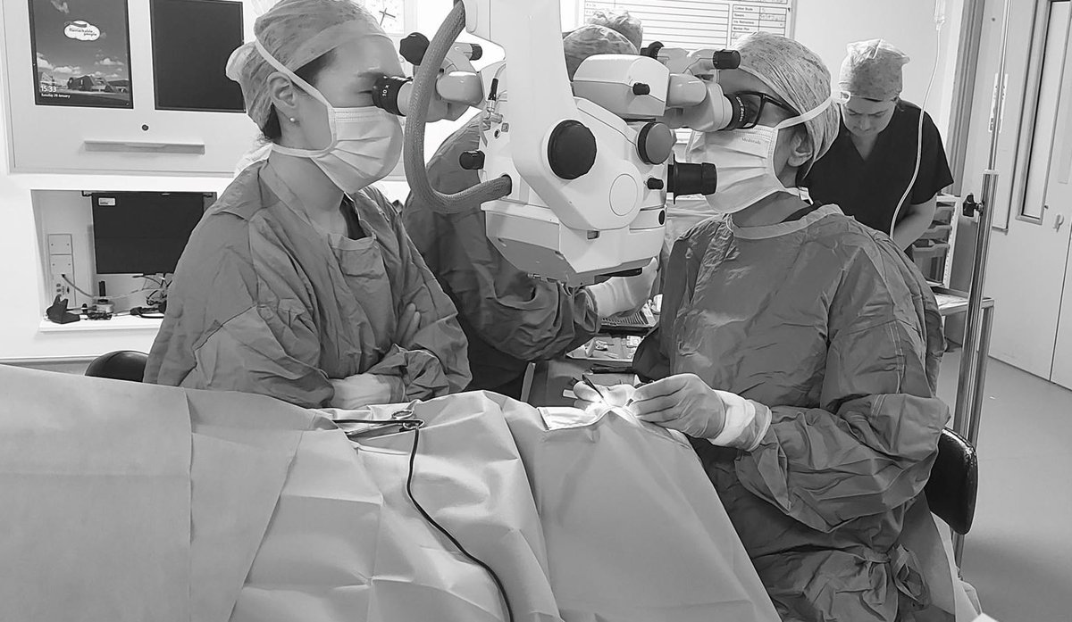 Alder Hey Ophthalmology (@ahophthalmology) on Twitter photo We are very grateful to <a href="/neeru_vallabh/">Neeru Vallabh</a> and Min-Hye Kang for carrying out the 1st Paul Tube at Alder Hey Children's Hospital. It was a great experience for the Ophthalmology and Theatre team, and we hope this will be the start of more collaboration with Ms Vallabh and her team! We are very grateful to <a href="/neeru_vallabh/">Neeru Vallabh</a> and Min-Hye Kang for carrying out the 1st Paul Tube at Alder Hey Children's Hospital. It was a great experience for the Ophthalmology and Theatre team, and we hope this will be the start of more collaboration with Ms Vallabh and her team!