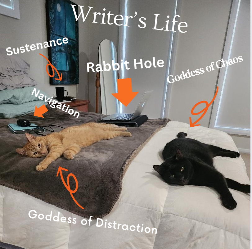 EdisonMarlowe's tweet photo. My bookish little friends—with me every step of the way as I navigate the world of indie publishing.

#booktwt #indiepublishing #bookish #booksbooksbooks #bookrecommendations #mysterythrillerbooks #catsruletheworld https://t.co/aa3foPz4o3