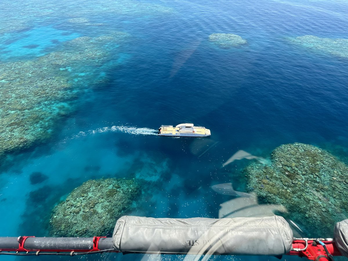 LouisJPlum's tweet photo. Moore Outer Reef, Cairns, QLD, Australia. https://t.co/yhJBhpiOOa