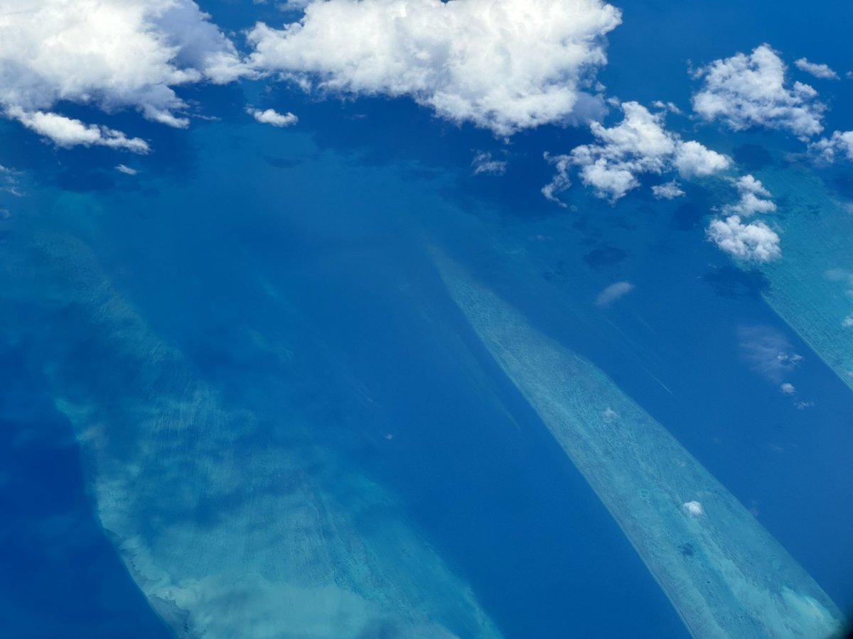 LouisJPlum's tweet photo. Moore Outer Reef, Cairns, QLD, Australia. https://t.co/yhJBhpiOOa