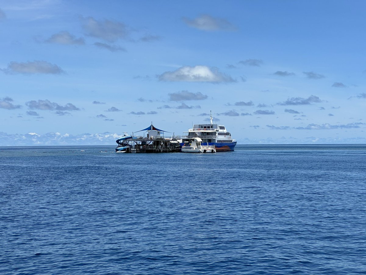 LouisJPlum's tweet photo. Moore Outer Reef, Cairns, QLD, Australia. https://t.co/yhJBhpiOOa