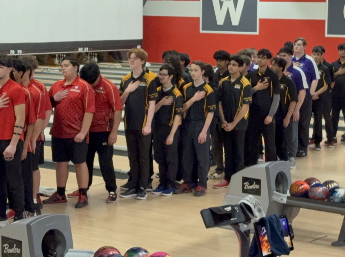 R. McLelland-Crawley 🌻 tweet media