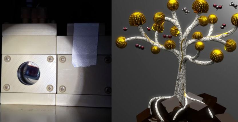 Trinity College Alumni (@trinity1546) on Twitter photo Alumnus <a href="/Virgil__Andrei/">Virgil Andrei</a> led the team of scientists who attached #copper #nanoflowers to an artificial leaf to produce #hydrocarbons, in a process powered solely by the sun. These molecules are key building blocks for liquid fuels, chemicals and plastics 👉bit.ly/42FQj0A Alumnus <a href="/Virgil__Andrei/">Virgil Andrei</a> led the team of scientists who attached #copper #nanoflowers to an artificial leaf to produce #hydrocarbons, in a process powered solely by the sun. These molecules are key building blocks for liquid fuels, chemicals and plastics 👉bit.ly/42FQj0A