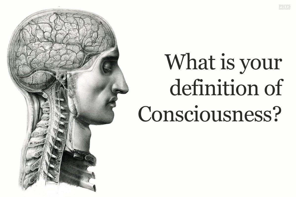 What is your definition of consciousness? ✍️