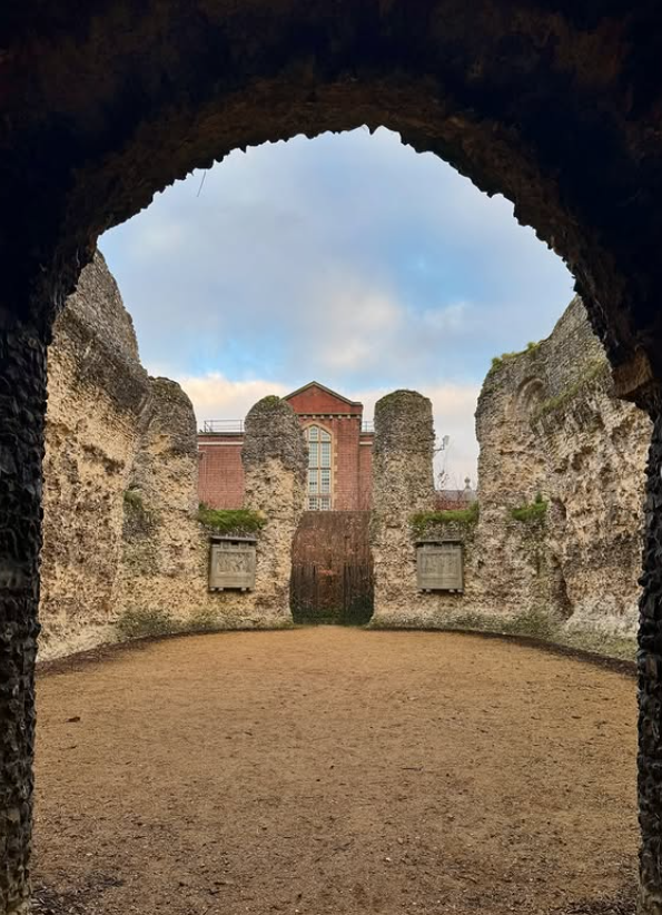 Total Reading tweet media