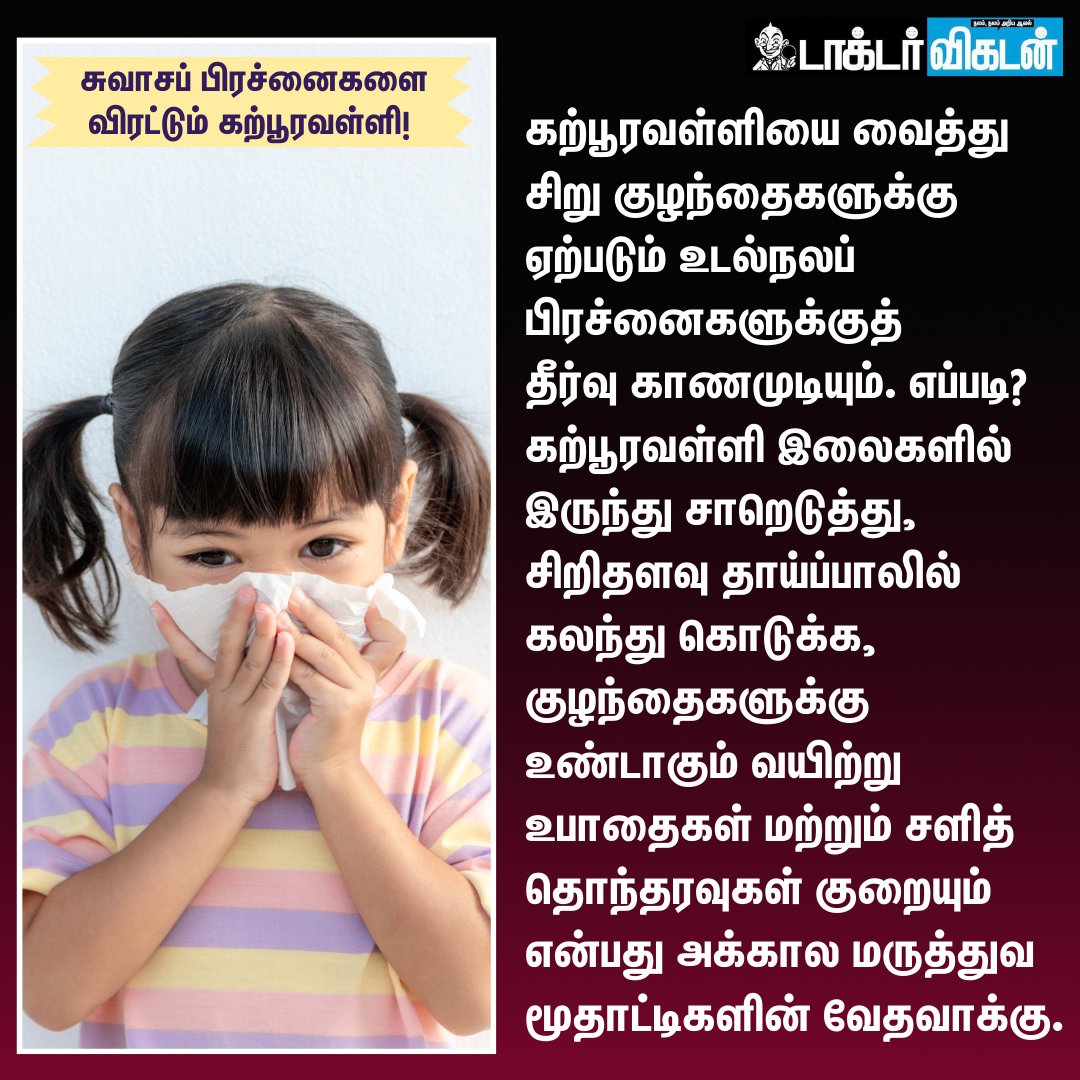 DoctorVikatan's tweet photo. சுவாசப் பிரச்னைகளை விரட்டும் கற்பூரவள்ளி!

#MexicanMint | #கற்பூரவள்ளி | #Health https://t.co/H6HewjjIgB