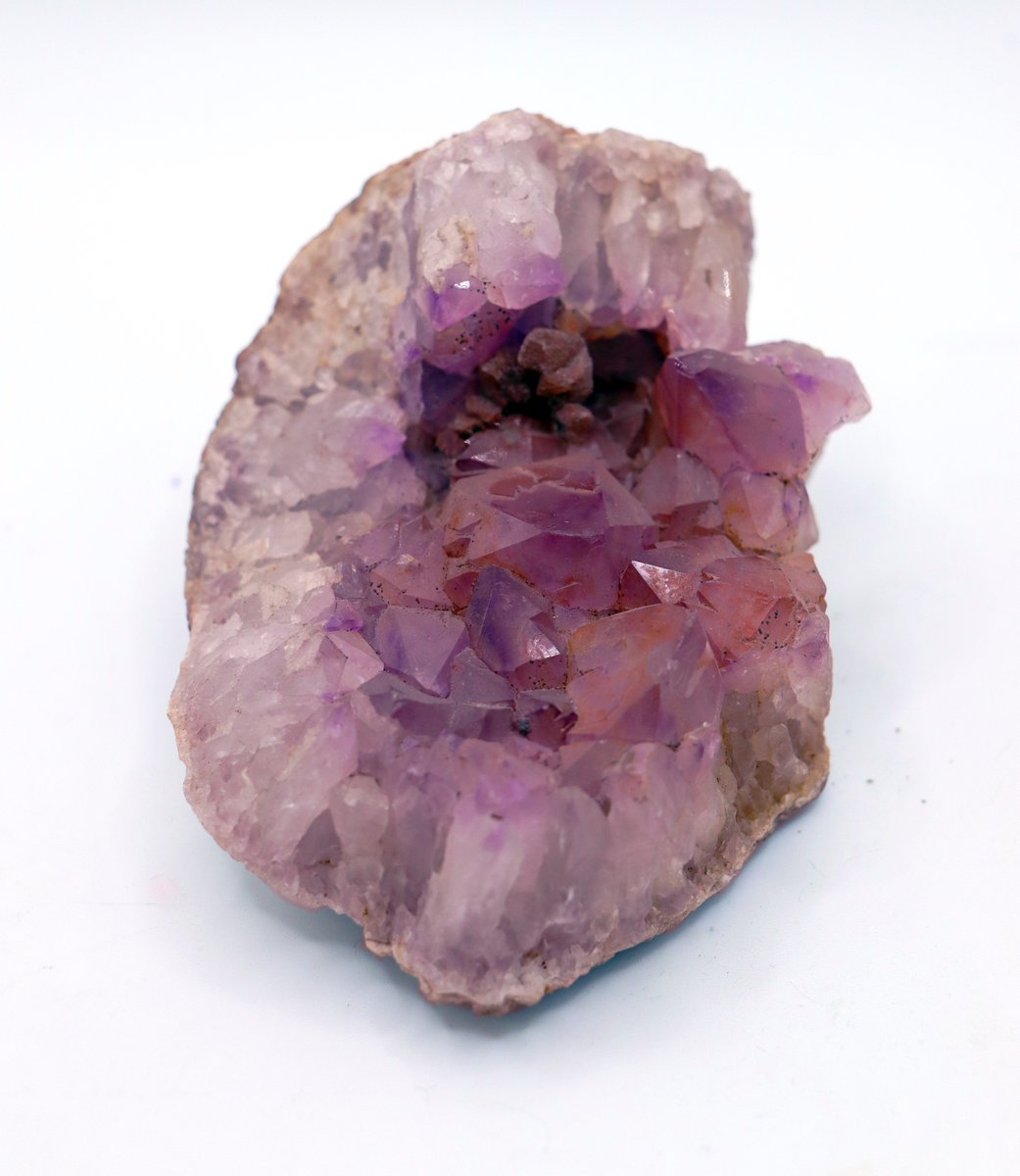 The Watt Institution tweet media