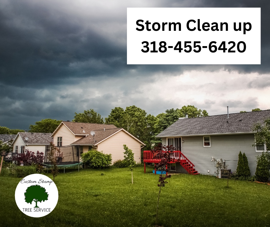 CustomStump's tweet photo. Those big limbs that have broken off but are still hanging on other limbs in the #Trees... ⚠ that's a problem in the next ⛈ storm. 

📲 Call us to take care of it before it's too late!. 

#Arborist #TreeGuy #CustomStumpTreeService 

Give us a call at ☎ (318) 455-6420! https://t.co/f3DjEmO7VV
