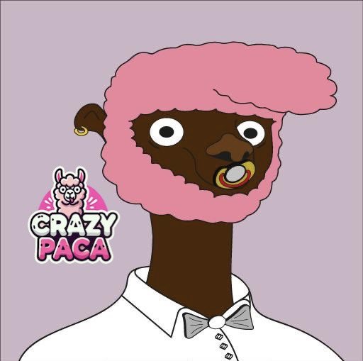 CrazyPacaNFT tweet media