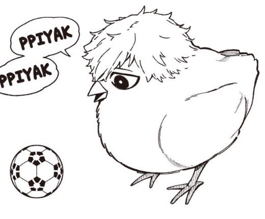 bu___v2's tweet image. 초등학생 레오 학교 앞에서 병아리 사왔는데 너무 잘 키워서 이렇게 됨