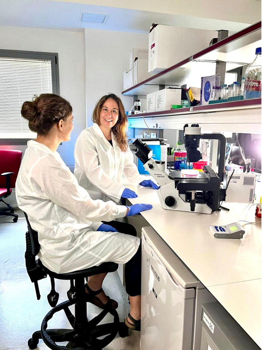 On World Cancer Day and as an example of the fight against cancer, we would like to profile Dr. Ronit Ilouz’s groundbreaking research that could transform the way we diagnose and treat prostate cancer. Ilouz investigates how a single enzyme—PKA—may hold the key to understanding