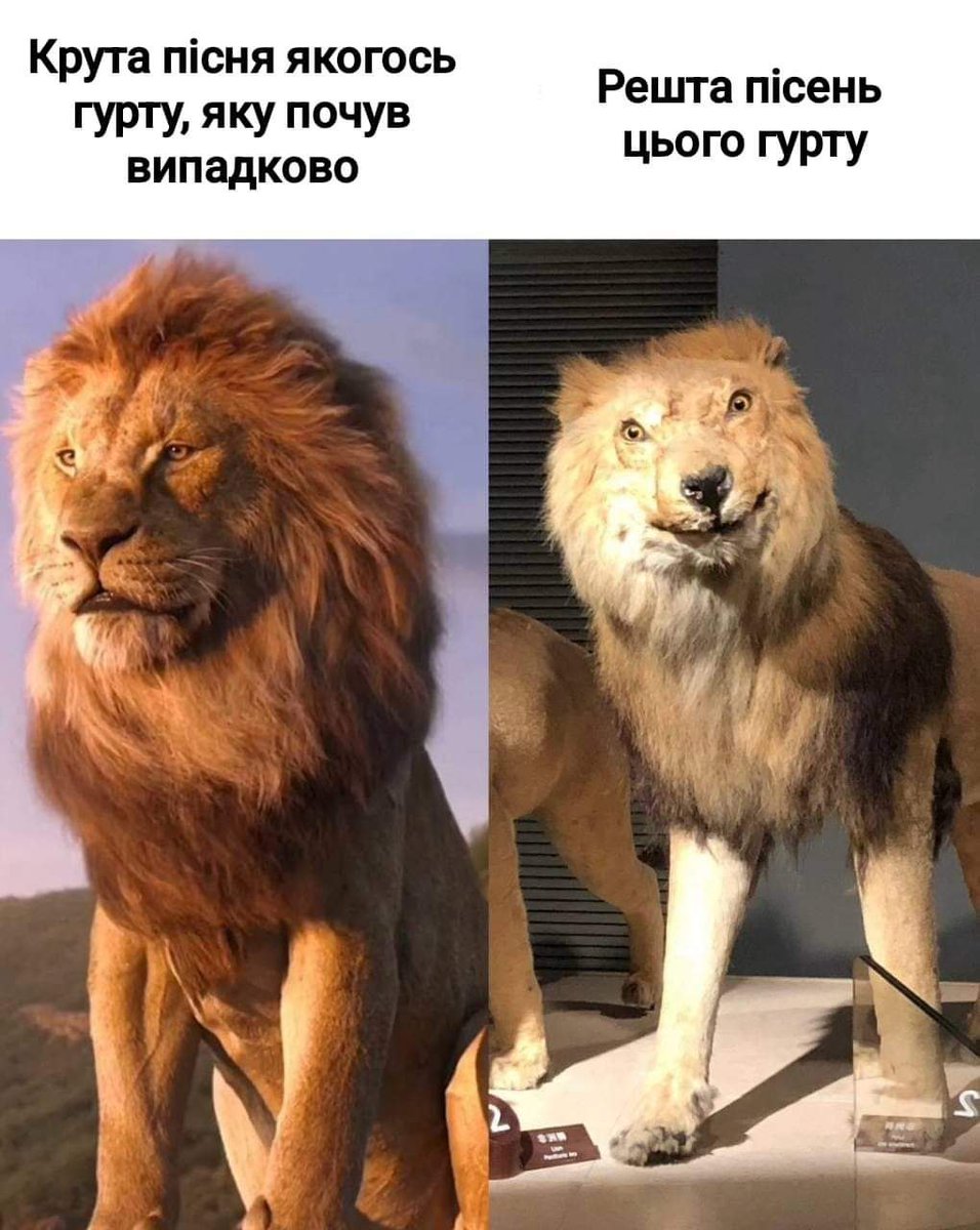 Viktor Hnativ tweet media