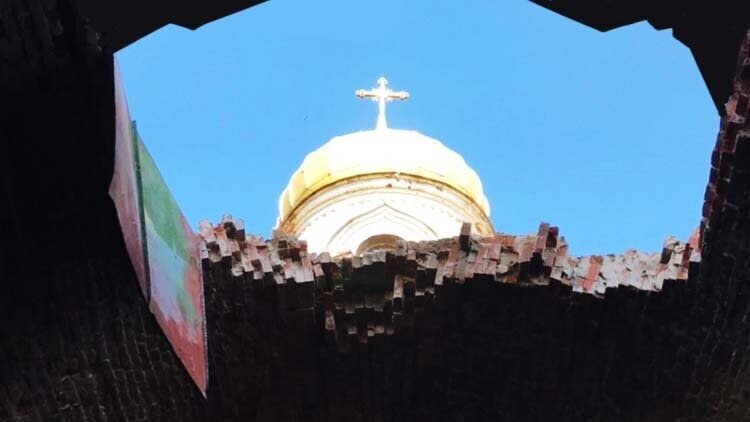 P Estudio tweet media