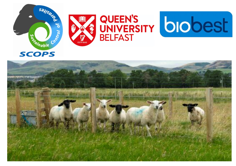 The Moredun Foundation (@moreduncomms) on Twitter photo **Pls can you share the survey**
Working with partners SCOPS, <a href="/QUBelfast/">Queen's University Belfast š</a> & <a href="/Biobest_Labs/">Biobest Laboratories Ltd</a> is exploring a method that could provide farmers and their vets and advisers with valuable information on the worm species present in dung samples
Here is the link: surveymonkey.com/r/692DD63 **Pls can you share the survey**
Working with partners SCOPS, <a href="/QUBelfast/">Queen's University Belfast š</a> & <a href="/Biobest_Labs/">Biobest Laboratories Ltd</a> is exploring a method that could provide farmers and their vets and advisers with valuable information on the worm species present in dung samples
Here is the link: surveymonkey.com/r/692DD63