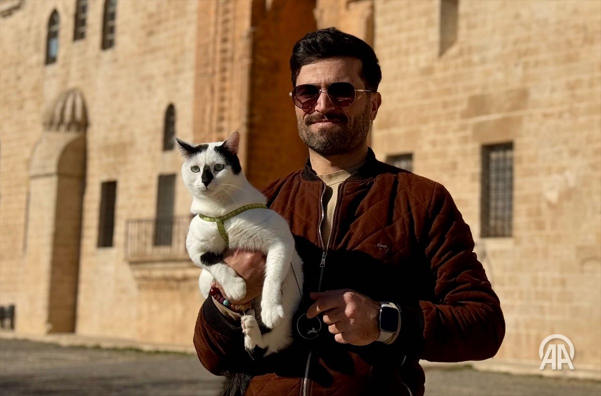 ❝Enkaz kedi, bana yol arkadaşı oldu. Onu gördükçe mutlu oluyorum. Bebeğim gibi onunla ilgileniyorum❞

Kahramanmaraş merkezli 6 Şubat depremlerinde Nurdağı'nda görevlendirilen itfaiye personeli Ali Çakas, enkazdan çıkarıp sahiplendiği kediyi yanından ayırmıyor