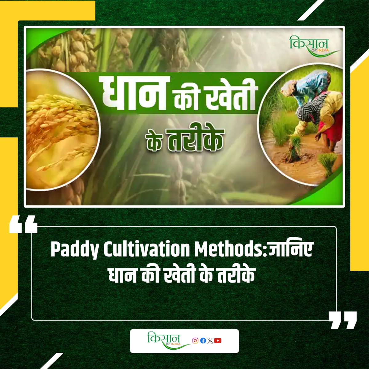KisanofIndia's tweet image. सस्टेनेबल खेती के लिए धान के उन्नत तरीकों को अपनाएं
kisanofindia.com/crops-produce/… 

#kisanofindia #Agriculture #PaddyCultivation #RiceFarming #FarmingMethods #PaddyFarming #AgricultureTips #AgriTech #SmartFarming #KhetiKaNayaTarika #AgriMethods #SmartFarming #PaddyFarmingTechniques…