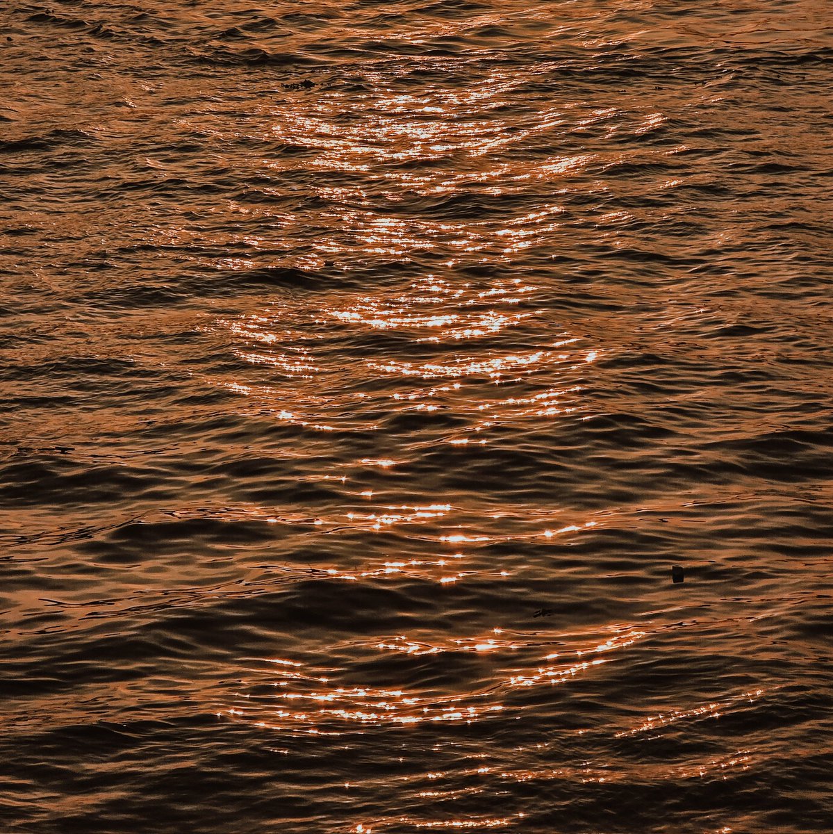 ประโยคเตือนสติ...

"ถ้าคนนี้ไม่รัก ก็ยังมีคนอื่นที่พร้อมจะรัก"
อย่าทําตัวเหมือนคนไม่มีทางเลือก
เราไม่ได้ไร้ค่าขนาดนั้น :)