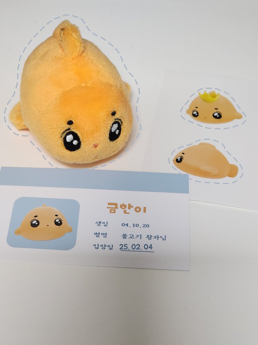 안녕? 금한이에요 🐠 
// 진짜진짜진짜진짜 귀여워효..🧡 //
엄마도 보자마자 이하니 닮았다고 함 너무너무 쪼끄맣고 초롱초롱하고 눈썹도 진하고 이한이야.. ♡