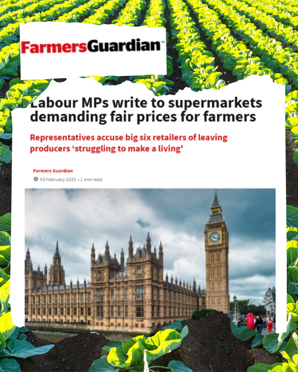 45 Labour MPs have written to the big six supermarkets demanding they engage ‘in a fair business relationship’ with producers, who often receive as little as 1p profit on the food items they produce.