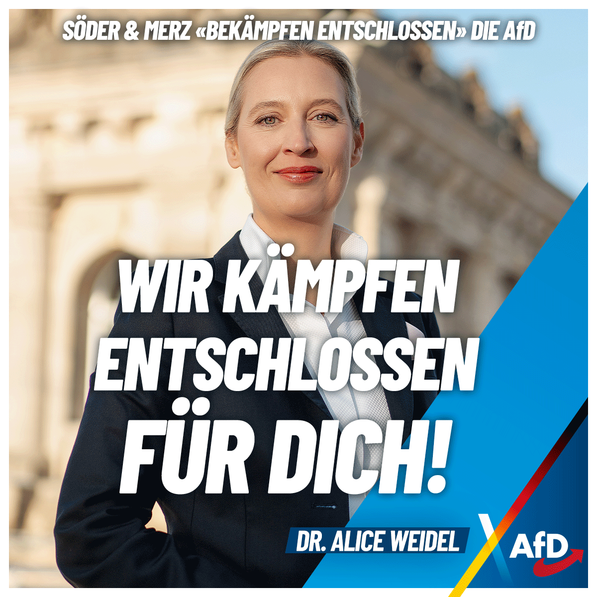 Söder und Merz „bekämpfen entschlossen“ die AfD – Wir kämpfen entschlossen für Dich!

Trotz all der Morde will die Union weiterhin die AfD ausgrenzen und mit SPD und Grünen die Massenmigration vorantreiben. Zeit für die AfD, Zeit für Deine Interessen!

afdkompakt.de/2025/02/04/soe…