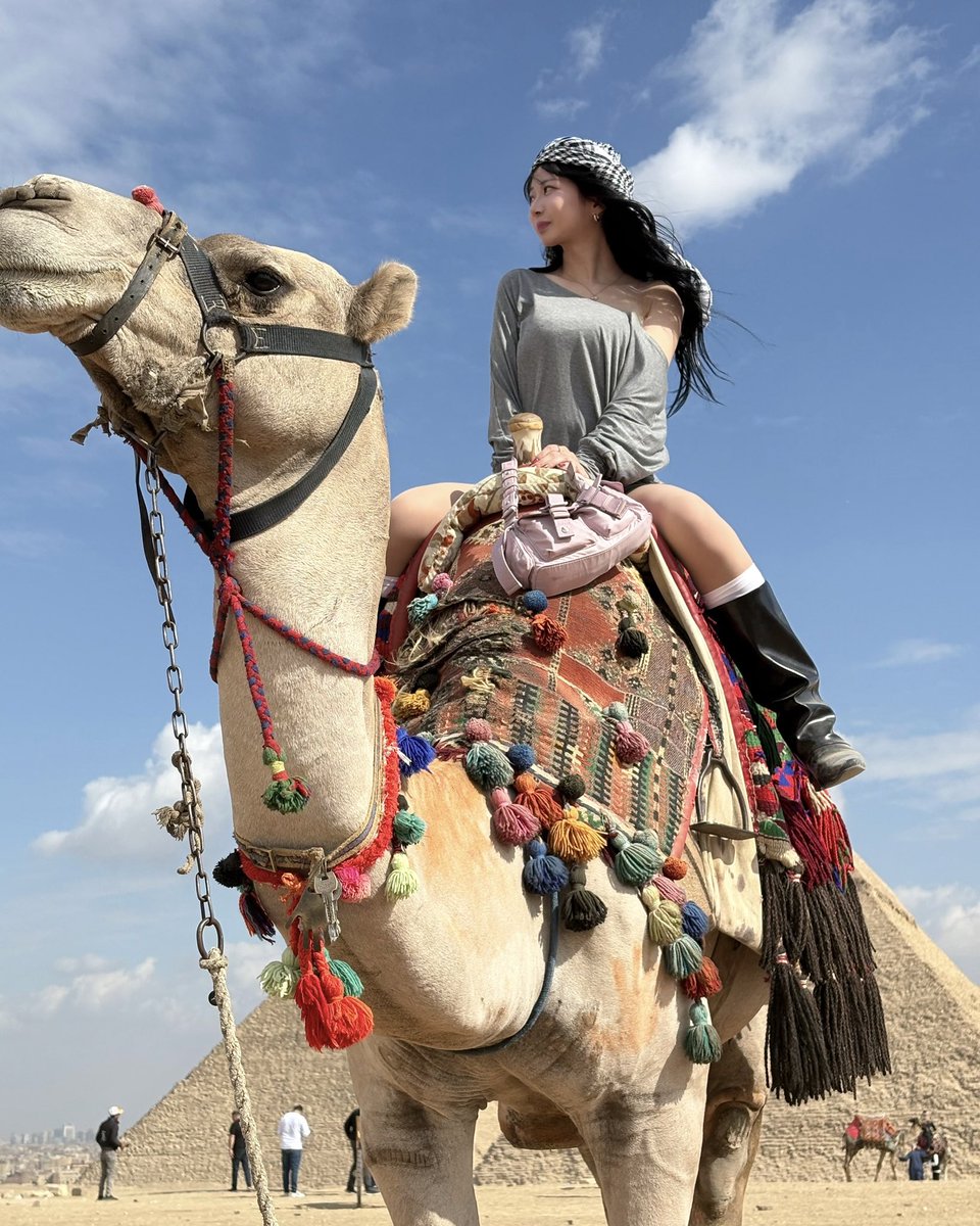 yaco (@crybny) on Twitter photo 