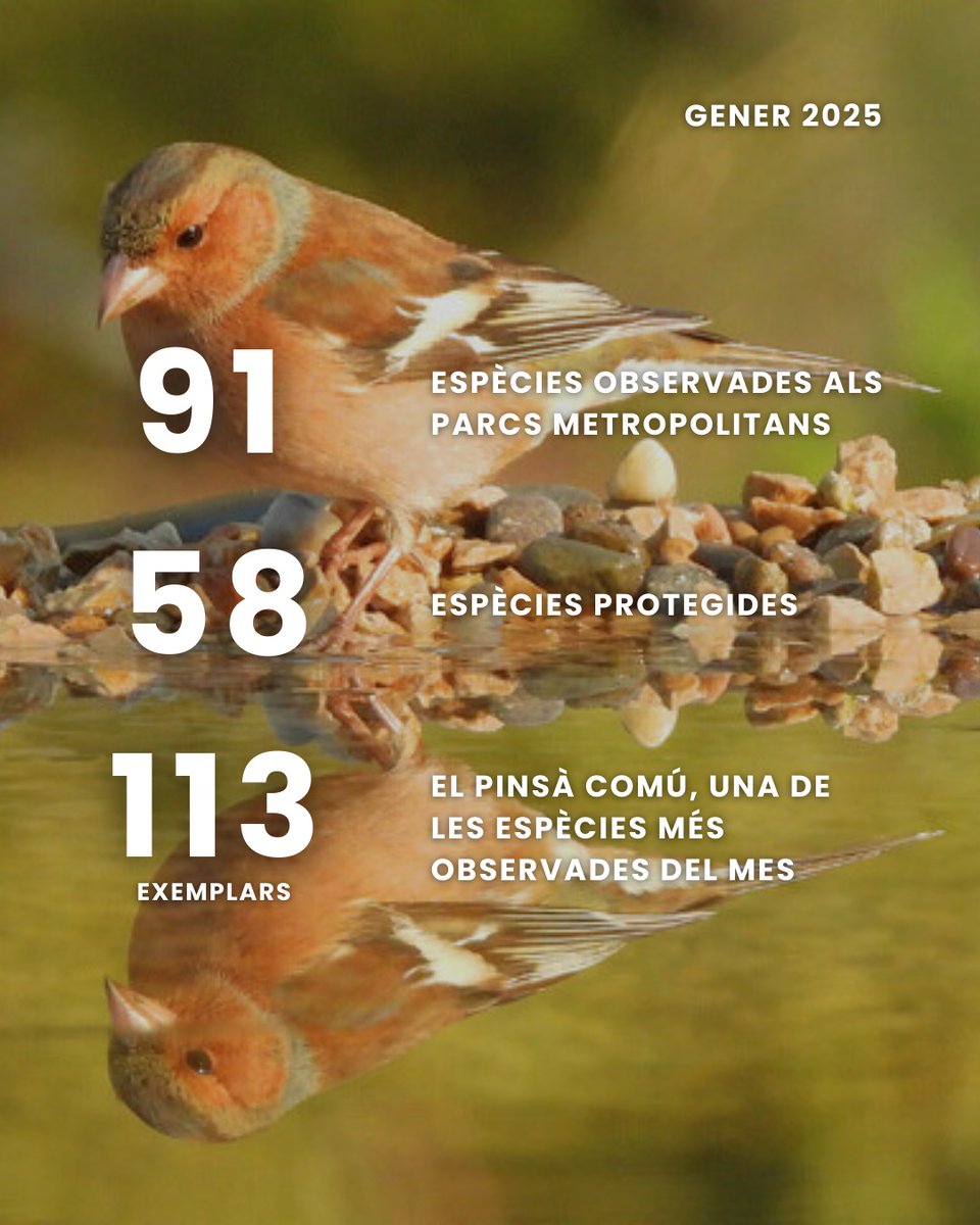 Parcs i platges AMB tweet media