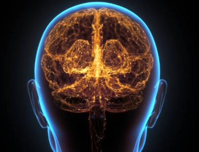 Helios_Movement's tweet image. Neglecting neurotransmitter health, is a very common reason when it comes to why plenty of people never improve a variety of issues such as:

-Anxiety 
-Low libido
-Trouble focusing
-Depression 
-Skin issues 
-Gut issues 

This is why i wrote the ultimate neurotransmitter thread…