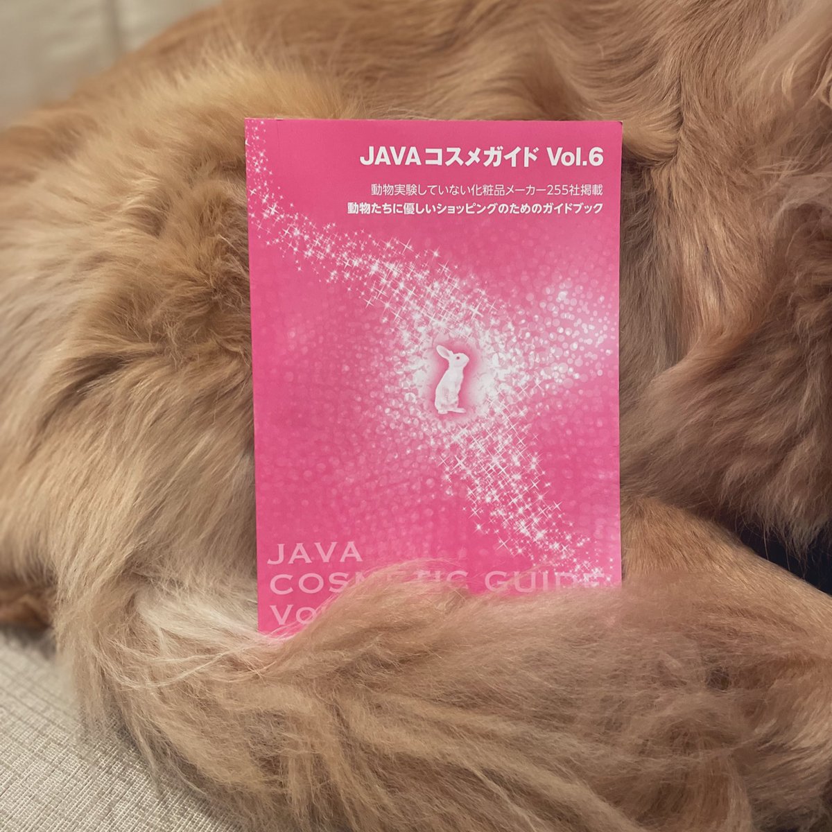 piquehaha's tweet photo. #JAVAコスメガイド
動物実験をしていない化粧品メーカー
255社掲載。
化粧品好きとして、知っておくべきと思い手に入れました。
明日から読んで学んだこと、発信していきますね。
#犬
#JAVA https://t.co/xwV8PmQKWC