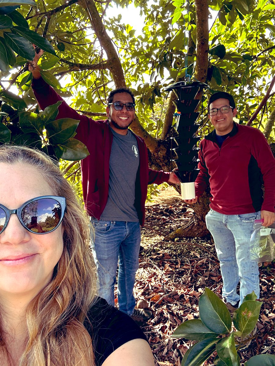 Tropical Plant Clinic & Research Lab tweet media