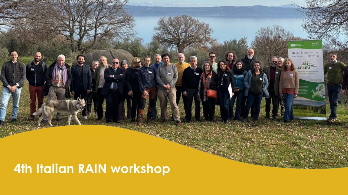 AF4EU_afinet's tweet photo. 🌱🚜 The 4th #ItalianRAIN workshop kicked off 🇮🇹! 

🌿Experts discussed agroforestry's role in tackling environmental &amp; social challenges, explored innovative tools &amp; case studies, and exchanged ideas🐑

More info: https://t.co/3eqM0yCpgB

#AF4EU #Agroforestry #RAIN #Innovation https://t.co/Cwk6E4VeOr
