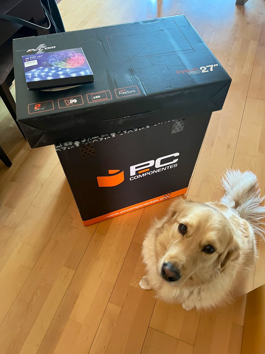 ARIADNA LOSADA⚡️ tweet media