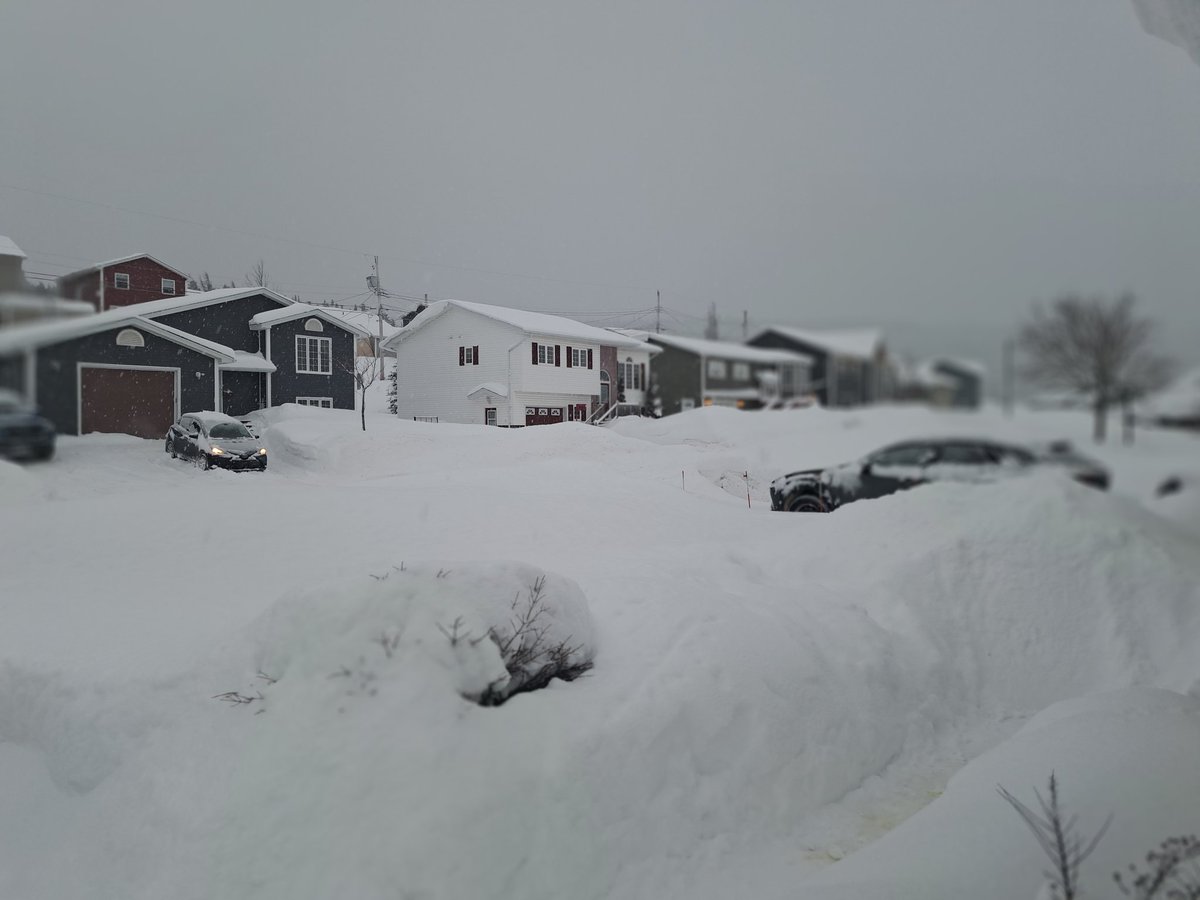 Always amazed at what squalls and a few light systems can produce here in #cornerbrook #nl. 2 weeks in difference between 1st and 2nd pic. I've shovelled AT LEAST once a day for the past 14 days! <a href="/EddieSheerr/">Eddie Sheerr</a> <a href="/KelseyMcEwen/">Kelsey McEwen</a> <a href="/MurphTWN/">Chris Murphy TWN</a> <a href="/weathernetwork/">The Weather Network</a> #nlwx