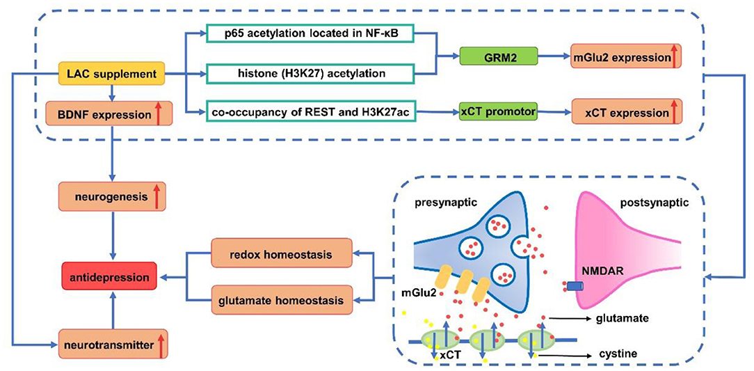 Nicholas Fabiano, MD tweet media