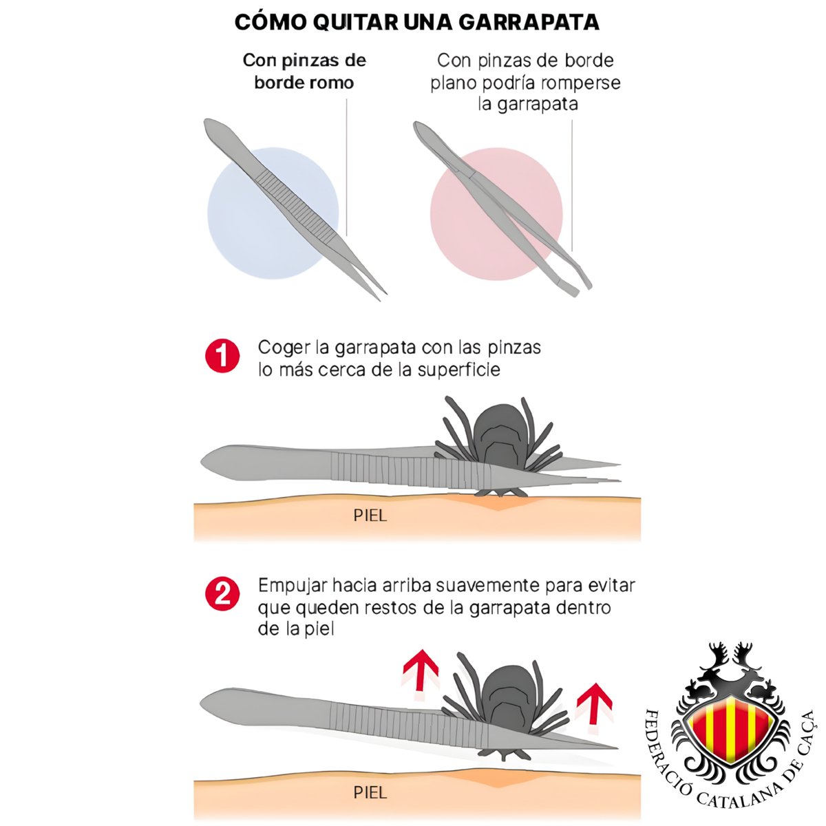 Federació Catalana de Caça tweet media
