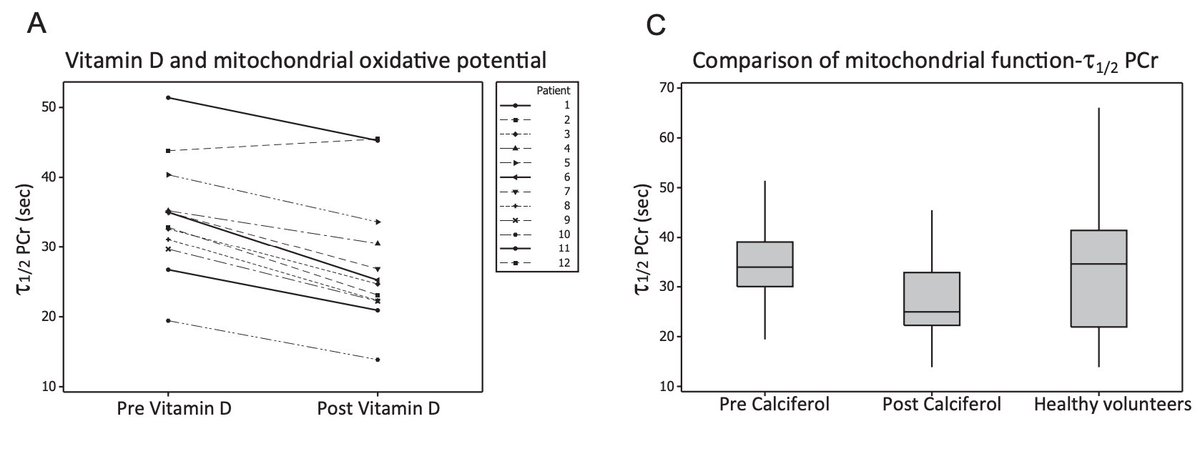 Key Findings
Vitamin D levels improved from ~9 nmol/L to ~114 nmol/L
PCr recovery time dropped from...