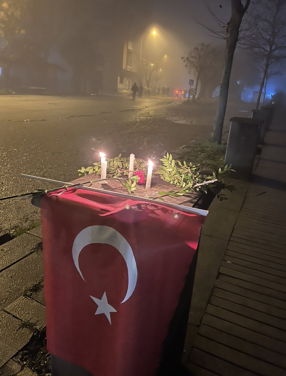 Ve aklıma geliyorsun ansızın… Çaresizliğin ile… Oysa ben sana bir dal Reyhan bırakmıştım…  #Antakya #6şubat