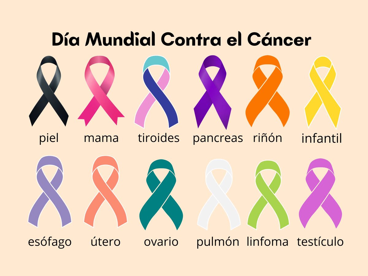Andrea Ruiz Salguero tweet media