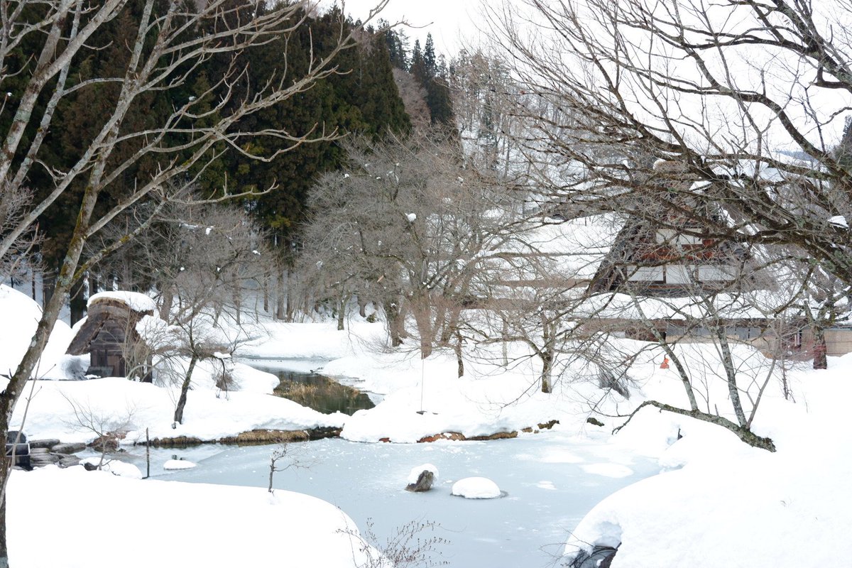 今回の飛騨高山旅は、「ひだふゆたび」のバスを利用して🚌

名古屋⇄高山と高山⇄白川郷のセットで　10500円！

そして、民家園とぜんざいの割引チケット付き🎫

民家園で、白川郷の事を学んで美味しいぜんざいと囲炉裏でまったり出来て幸せだったなぁ☃️

meitetsu.co.jp/files3/hidatab…

#tabippo #poolo
